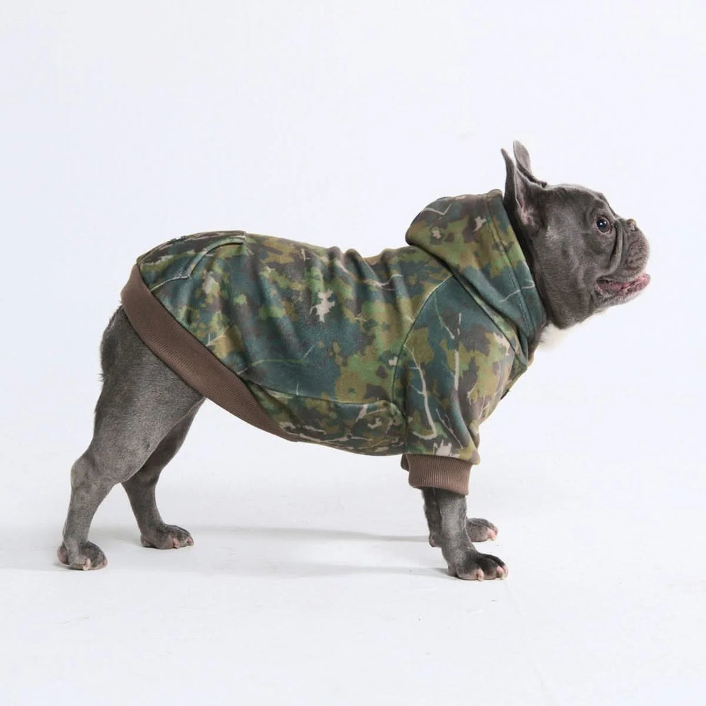 Dog Hoodie in Moss