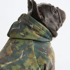 Dog Hoodie in Moss