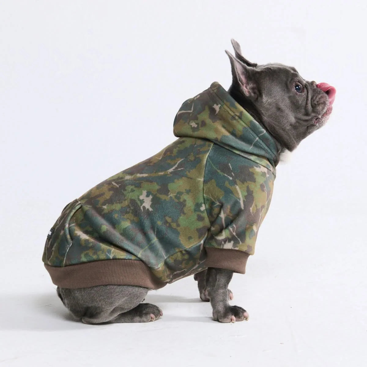 Dog Hoodie in Moss