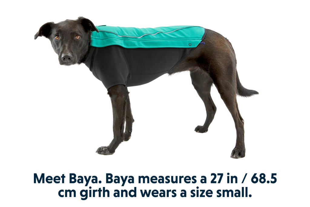 Dog Jacket with a Weatherproof Softshell Upper Panel and Fleece-Lined Lower Panel for Winter Walks
