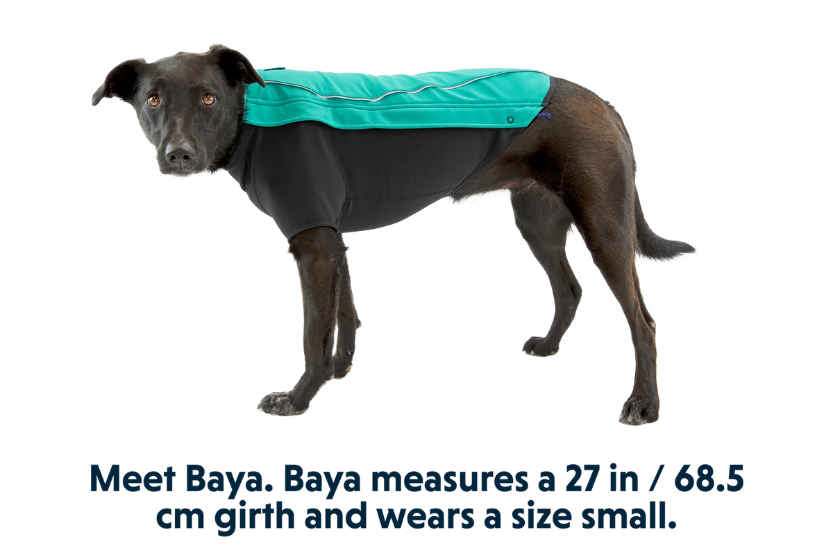 Dog Jacket with a Weatherproof Softshell Upper Panel and Fleece-Lined Lower Panel for Winter Walks