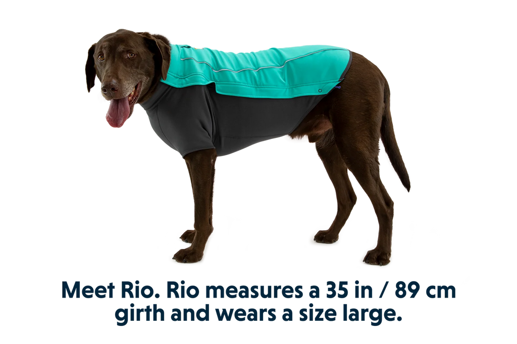 Dog Jacket with a Weatherproof Softshell Upper Panel and Fleece-Lined Lower Panel for Winter Walks