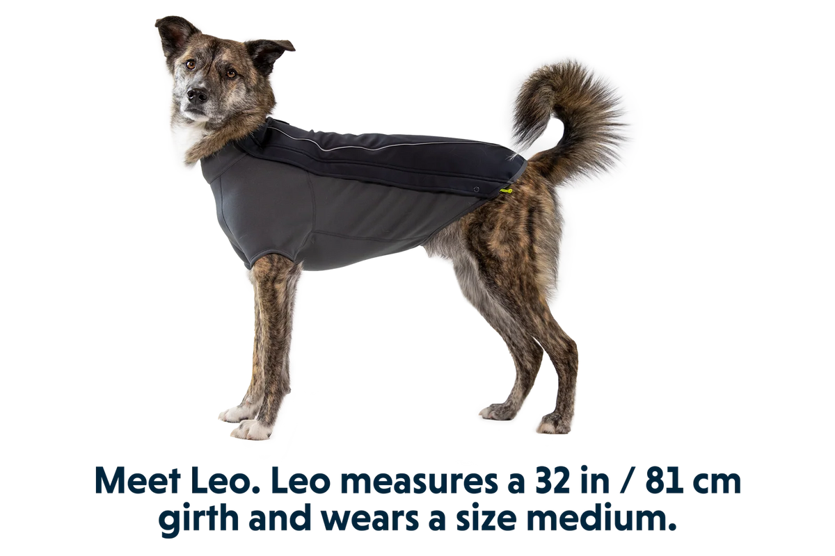 Dog Jacket with a Weatherproof Softshell Upper Panel and Fleece-Lined Lower Panel for Winter Walks