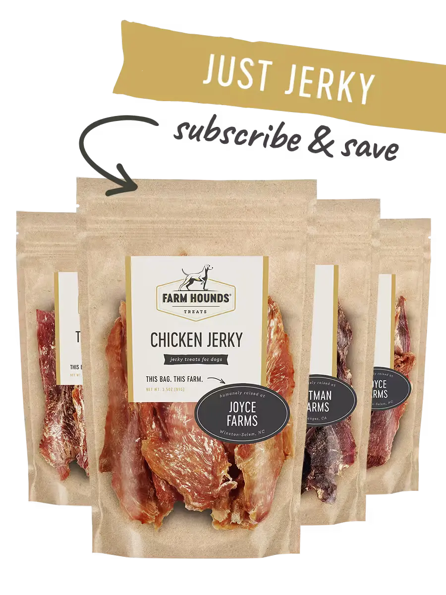 Dog Jerky Treat Box