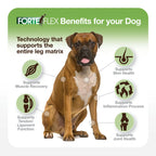 Dog Joint and Soft Tissue Supplement in 90-Count Chewables