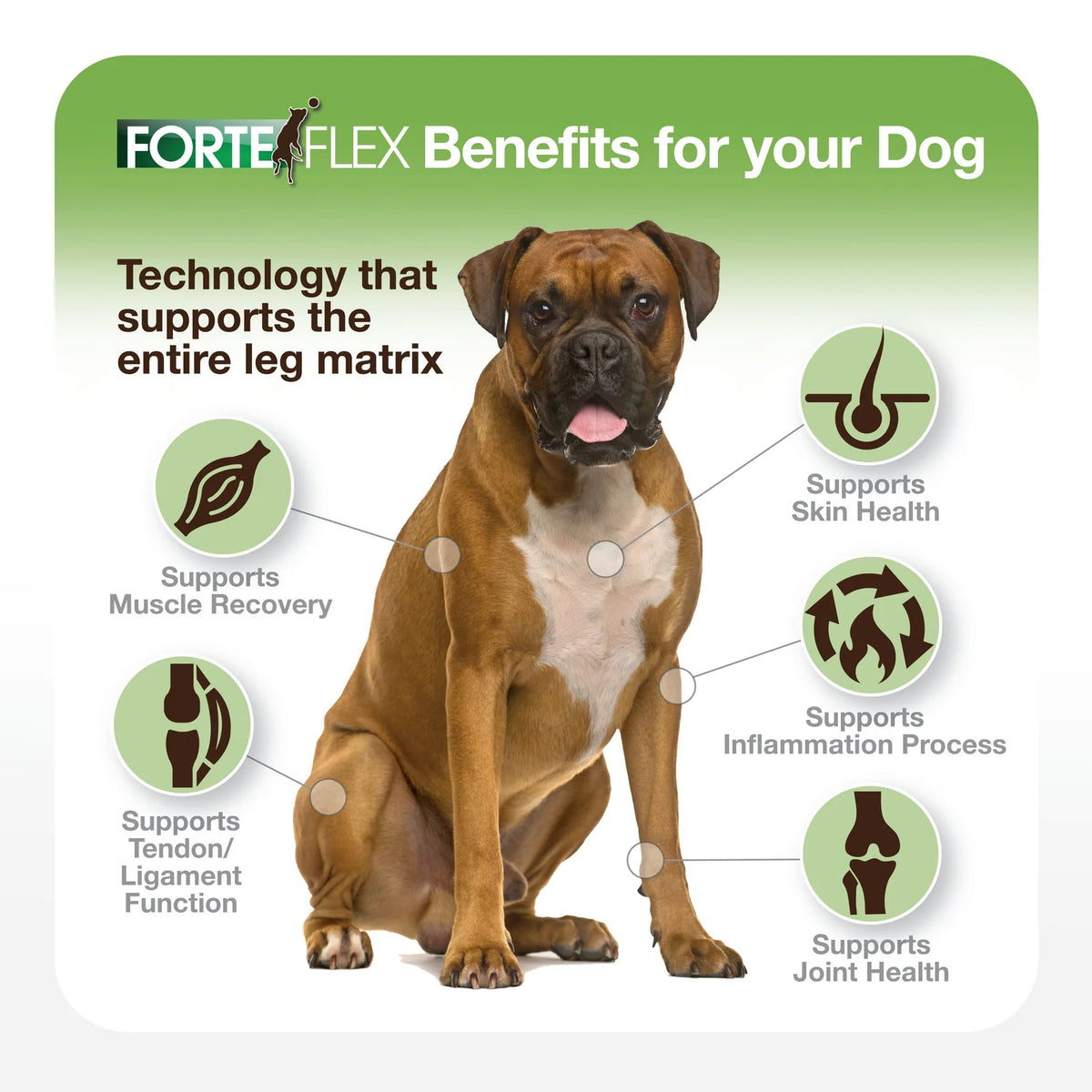 Dog Joint and Soft Tissue Supplement in 90-Count Chewables