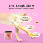 Dog Joint Supplement