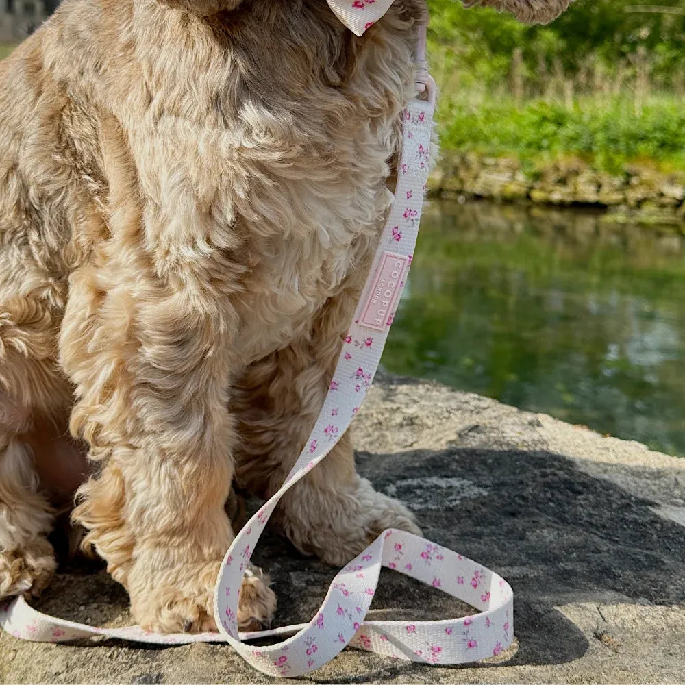 Dog Lead in Butter Yellow Rose Print