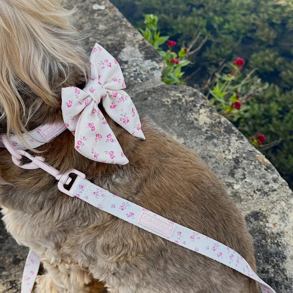 Dog Lead in Butter Yellow Rose Print