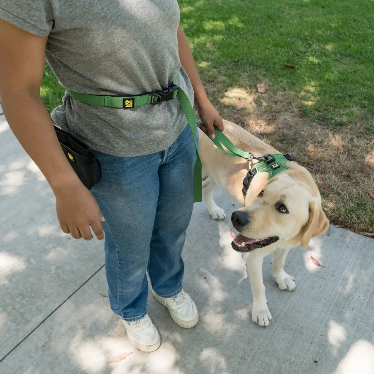 Dog Leash 6 ft x 1 in