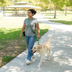 Dog Leash 6 ft x 1 in