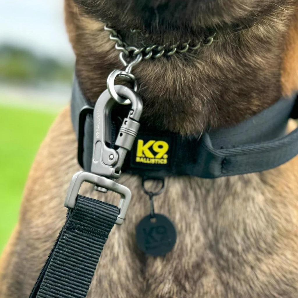 Dog Leash 6 ft x 1 in