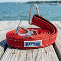 Dog Leash