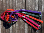 Dog Leash
