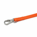 Dog Leash