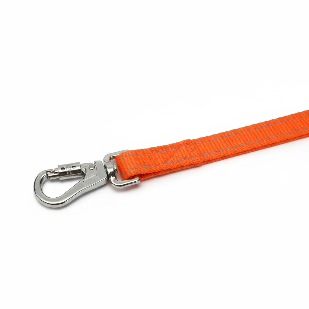 Dog Leash