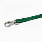 Dog Leash
