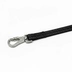 Dog Leash