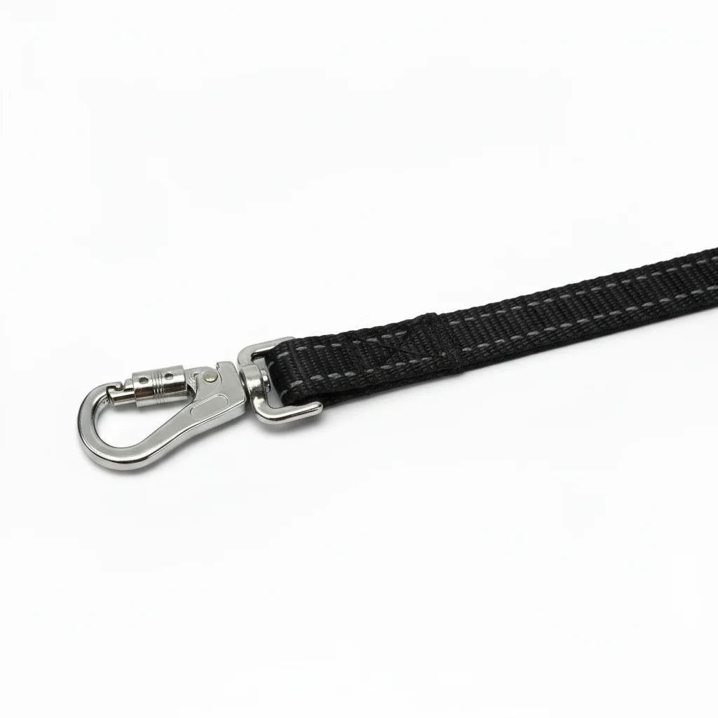Dog Leash