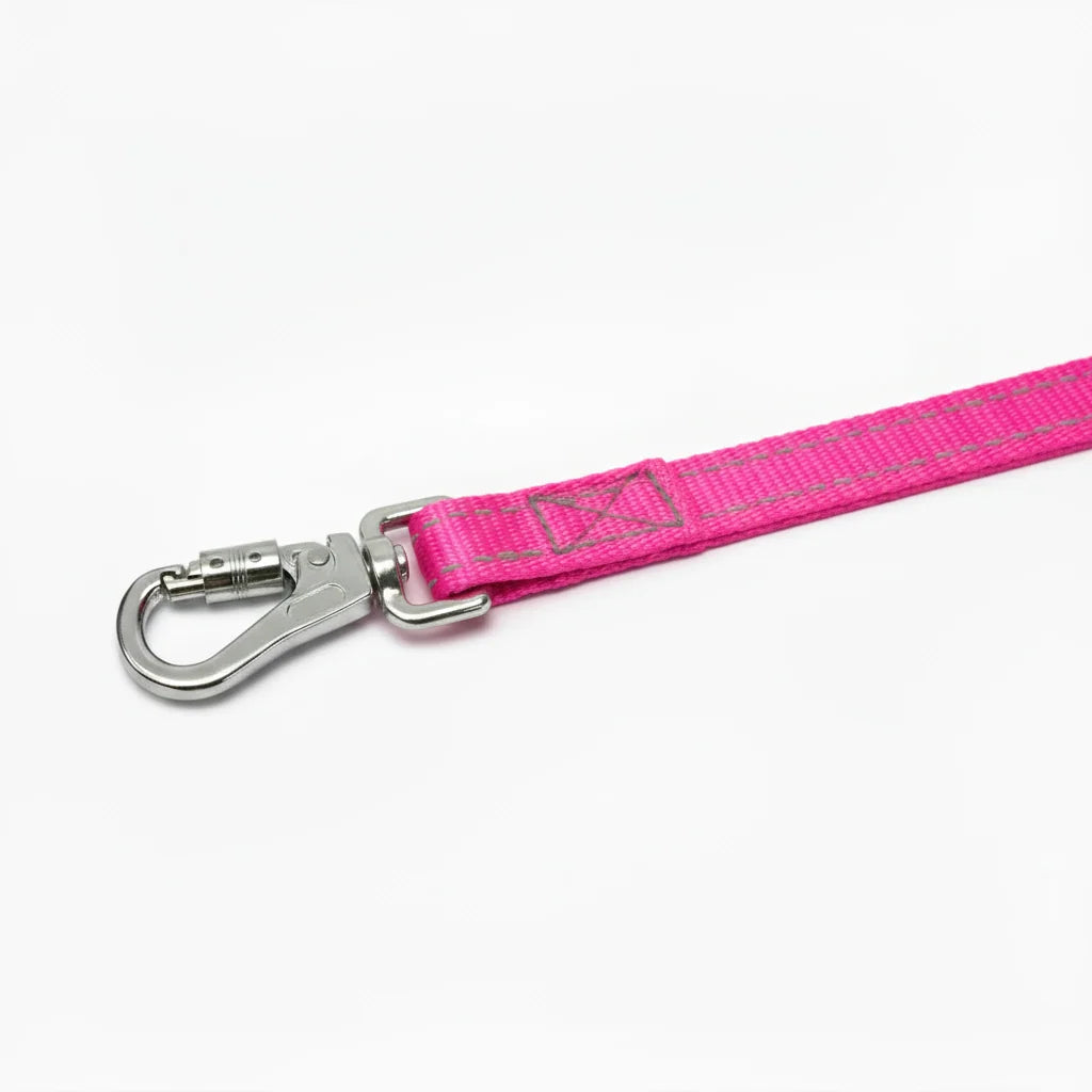 Dog Leash