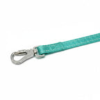 Dog Leash
