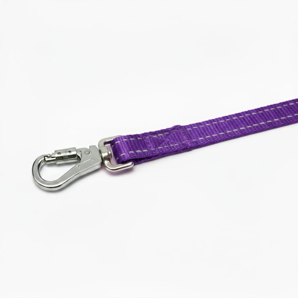 Dog Leash