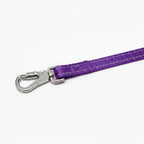 Dog Leash