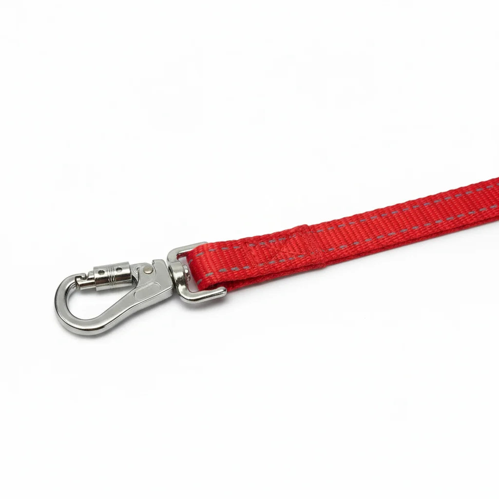 Dog Leash
