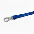 Dog Leash