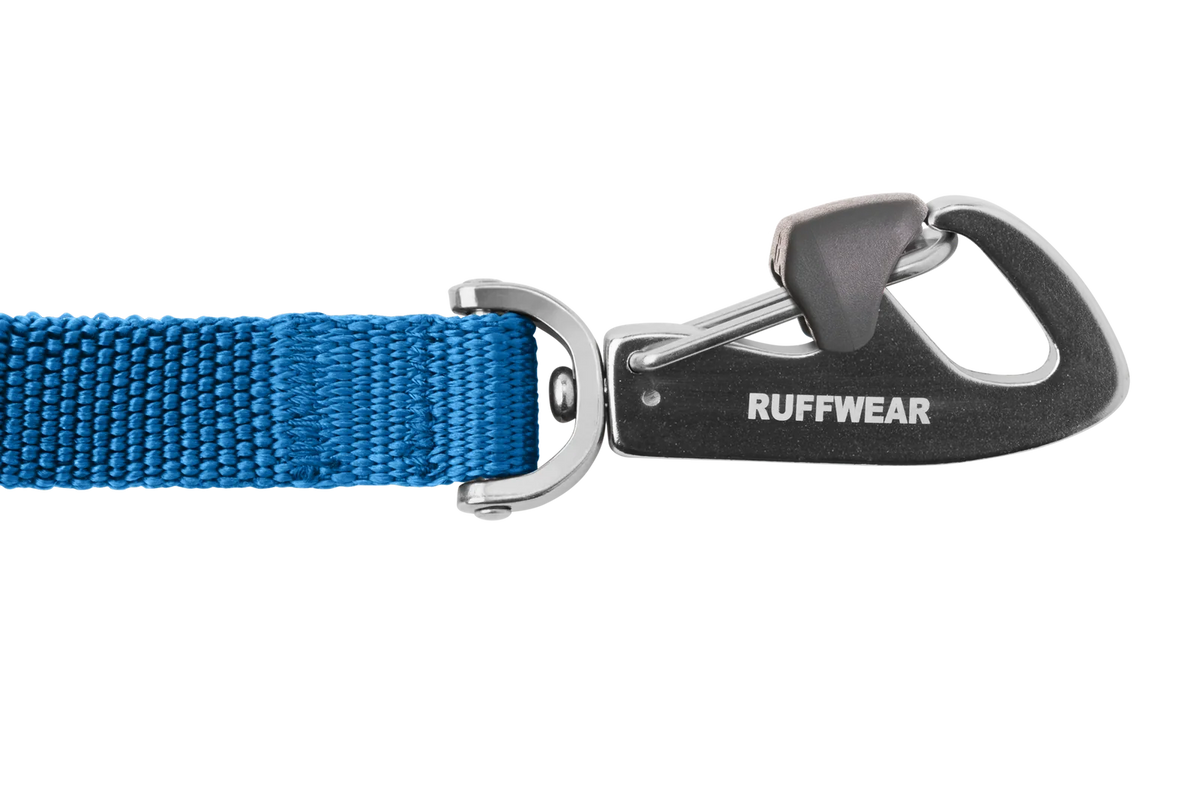 Dog Leash