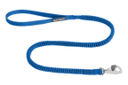 Dog Leash, Large-Blue Pool (410)-New