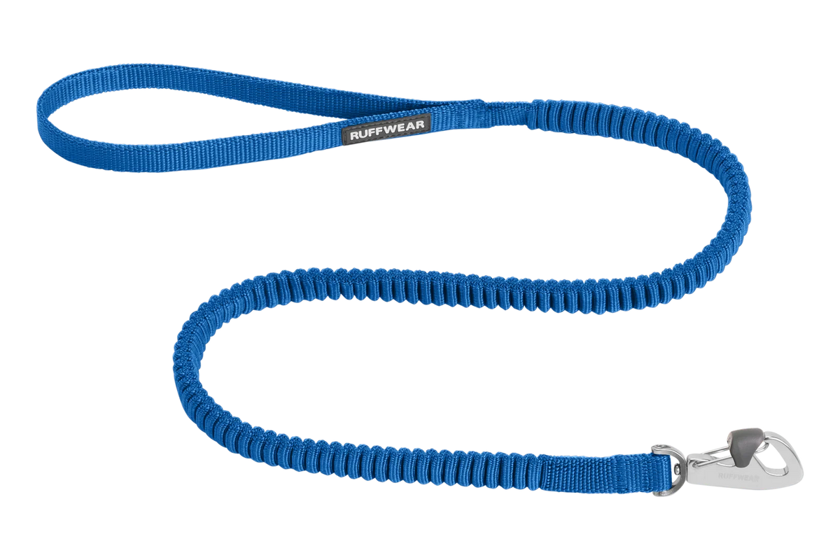 Dog Leash, Large-Blue Pool (410)-New