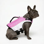 Dog Life Jacket