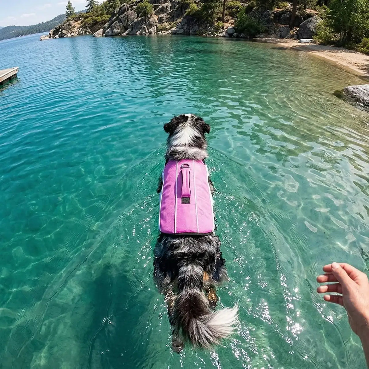 Dog Life Jacket