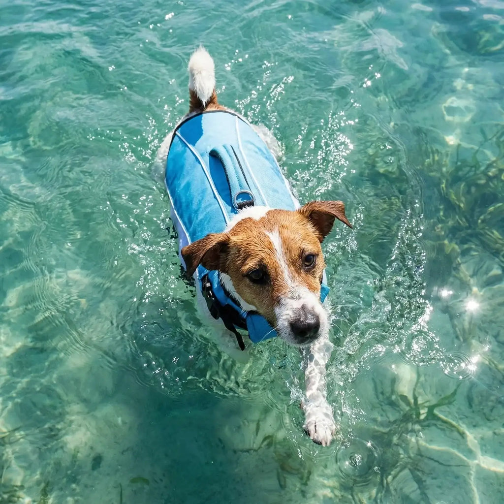Dog Life Jacket
