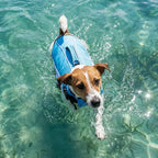 Dog Life Jacket