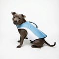 Dog Life Jacket