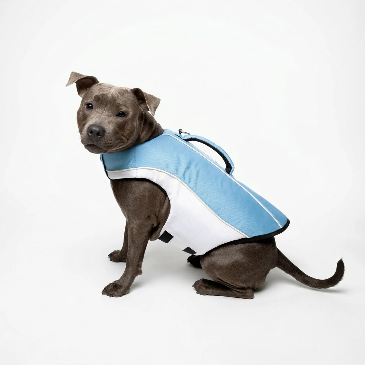 Dog Life Jacket
