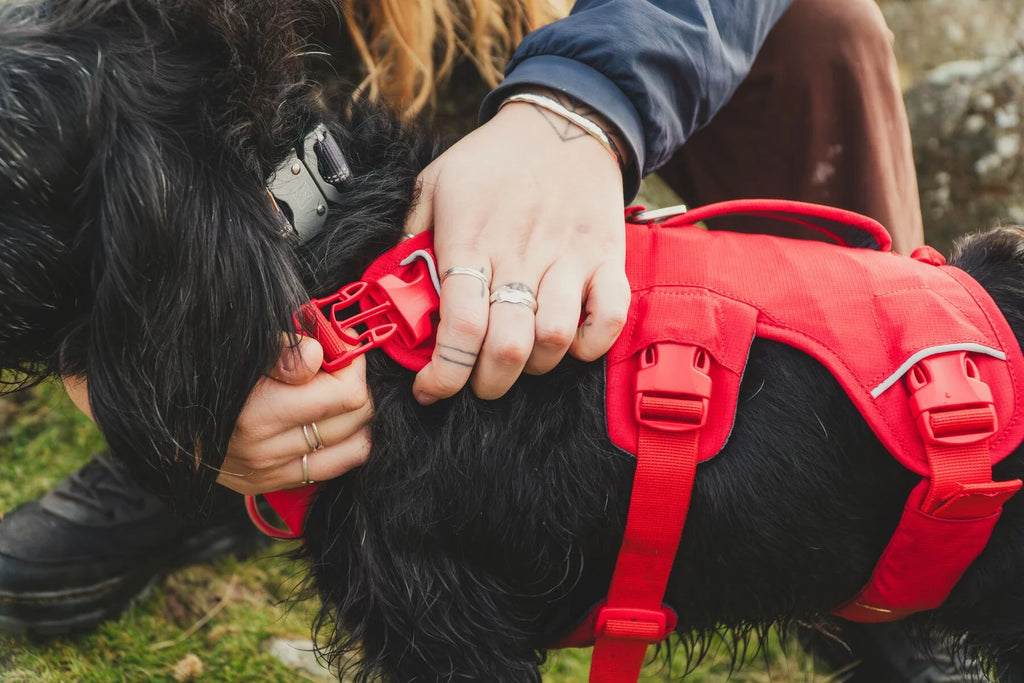 Dog Lift Harness with Three-Strap Escape-Resistant Fit, Neck Buckle and Breathable Foam Back Panel