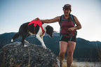 Dog Lift Harness with Three-Strap Escape-Resistant Fit, Neck Buckle and Breathable Foam Back Panel