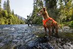 Dog Lift Harness with Three-Strap Escape-Resistant Fit, Neck Buckle and Breathable Foam Back Panel