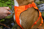 Dog Lift Harness with Three-Strap Escape-Resistant Fit, Neck Buckle and Breathable Foam Back Panel