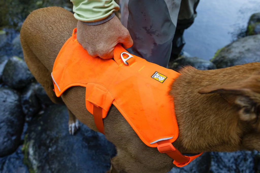 Dog Lift Harness with Three-Strap Escape-Resistant Fit, Neck Buckle and Breathable Foam Back Panel