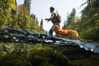 Dog Lift Harness with Three-Strap Escape-Resistant Fit, Neck Buckle and Breathable Foam Back Panel