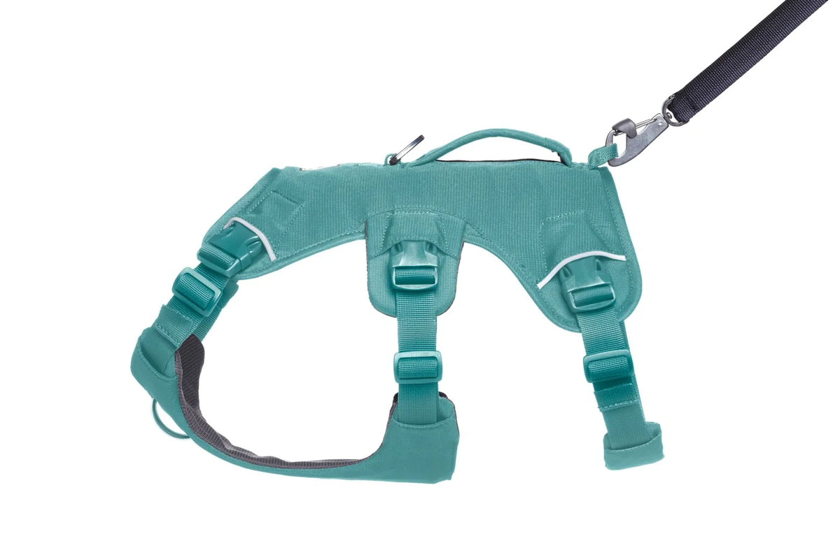 Dog Lift Harness with Three-Strap Escape-Resistant Fit, Neck Buckle and Breathable Foam Back Panel
