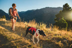 Dog Lift Harness with Three-Strap Escape-Resistant Fit, Neck Buckle and Breathable Foam Back Panel