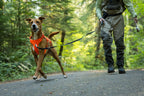 Dog Lift Harness with Three-Strap Escape-Resistant Fit, Neck Buckle and Breathable Foam Back Panel
