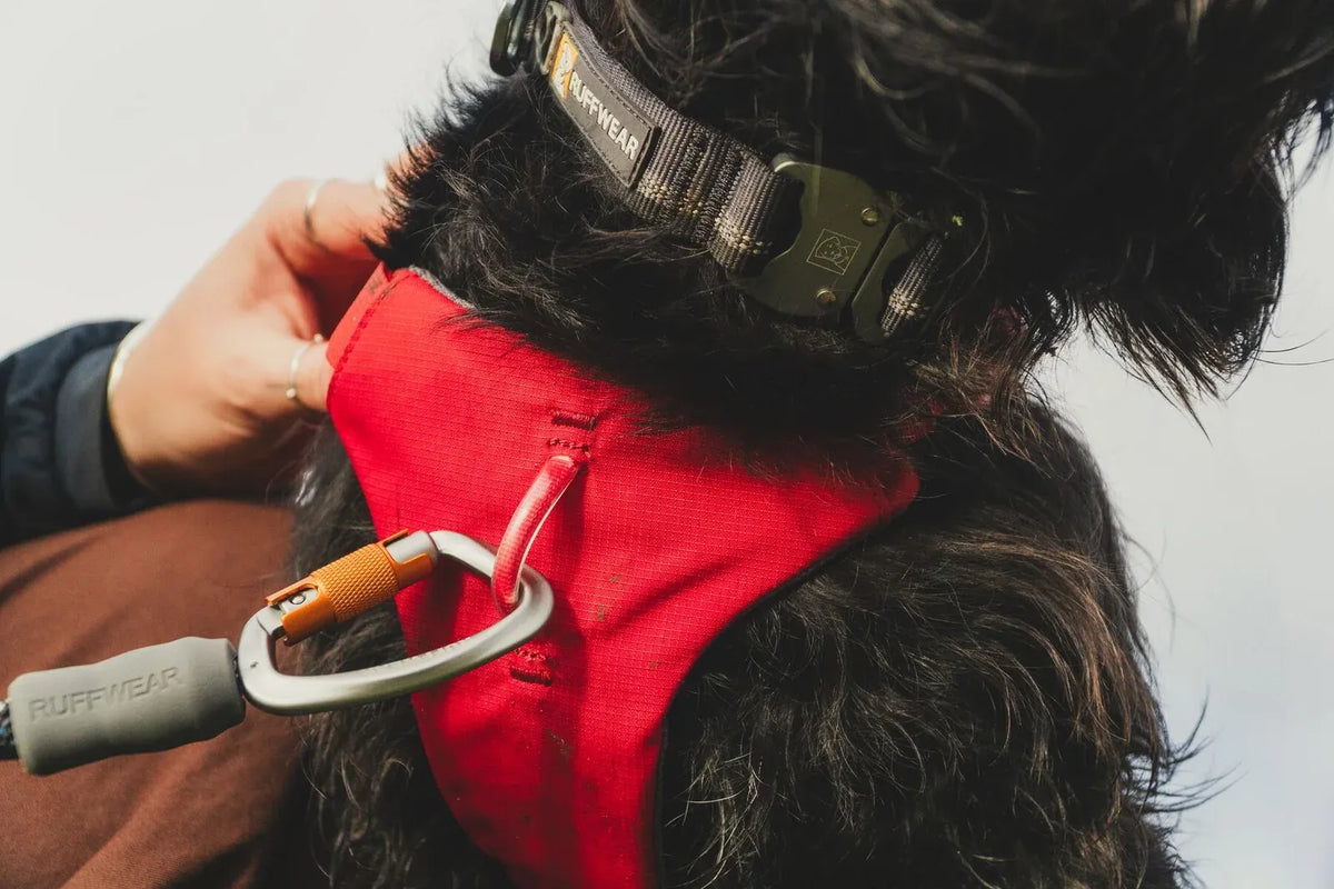 Dog Lift Harness with Three-Strap Escape-Resistant Fit, Neck Buckle and Breathable Foam Back Panel