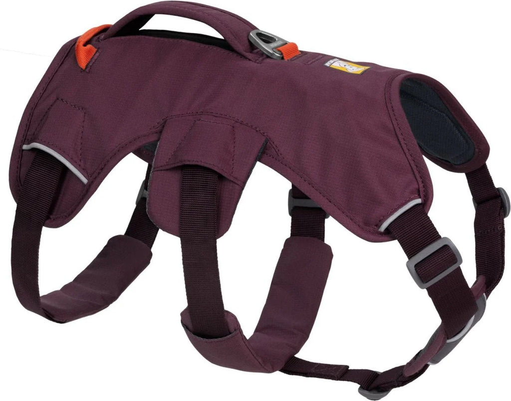 Dog Lift Harness with Three-Strap Escape-Resistant Fit, Neck Buckle and Breathable Foam Back Panel