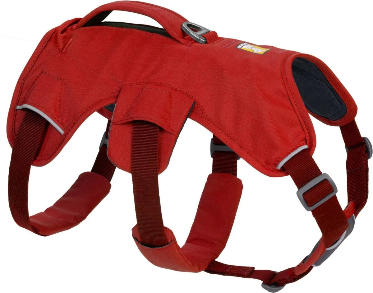 Dog Lift Harness with Three-Strap Escape-Resistant Fit, Neck Buckle and Breathable Foam Back Panel